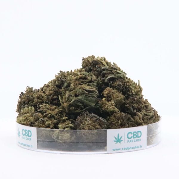 Sour Diesel – Image 10