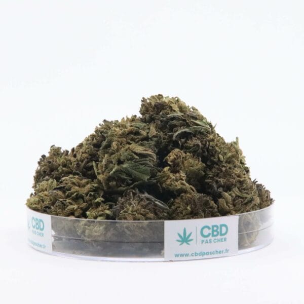 Sour Diesel – Image 11