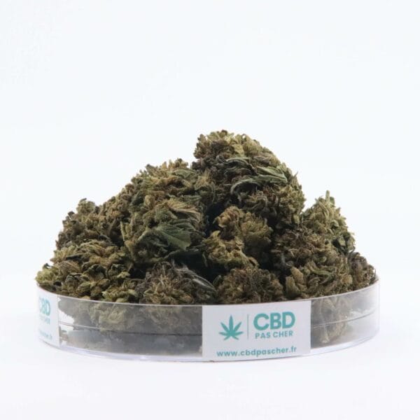 Sour Diesel – Image 12