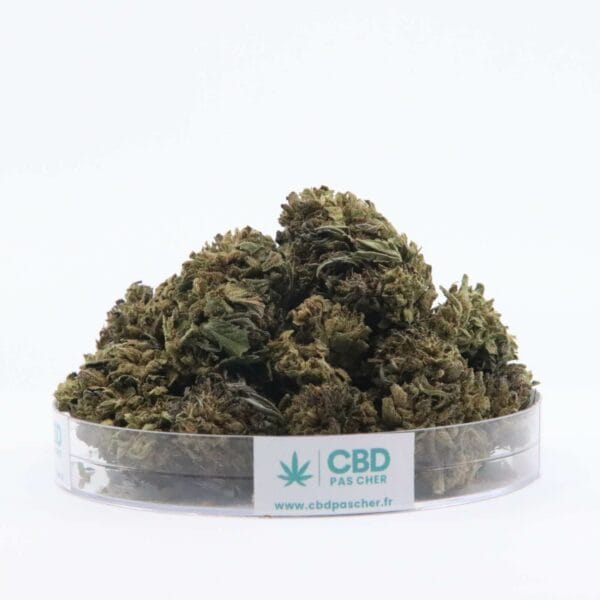 Sour Diesel – Image 13