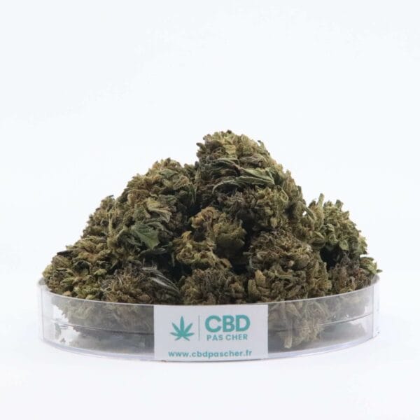 Sour Diesel – Image 14