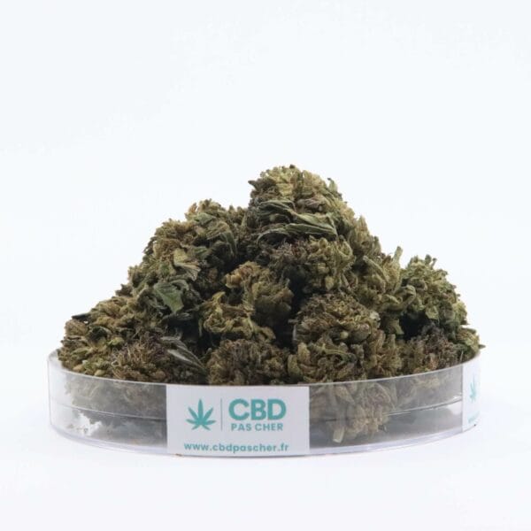 Sour Diesel – Image 15