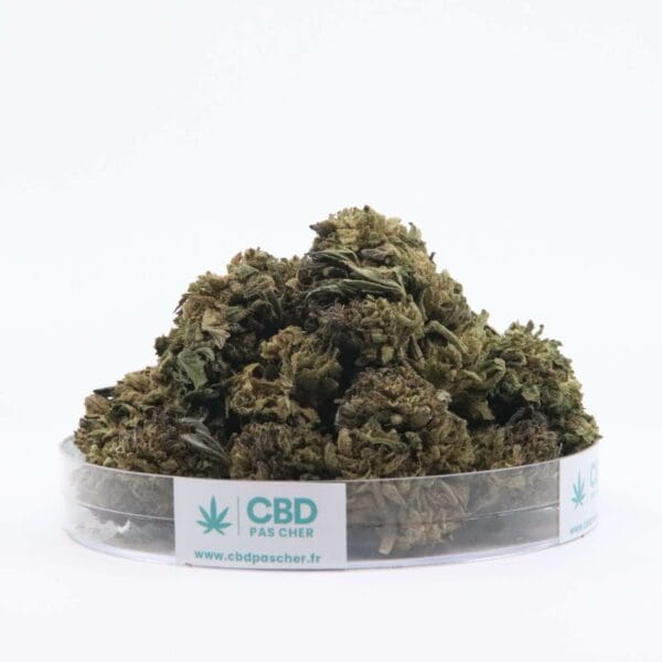 Sour Diesel – Image 16