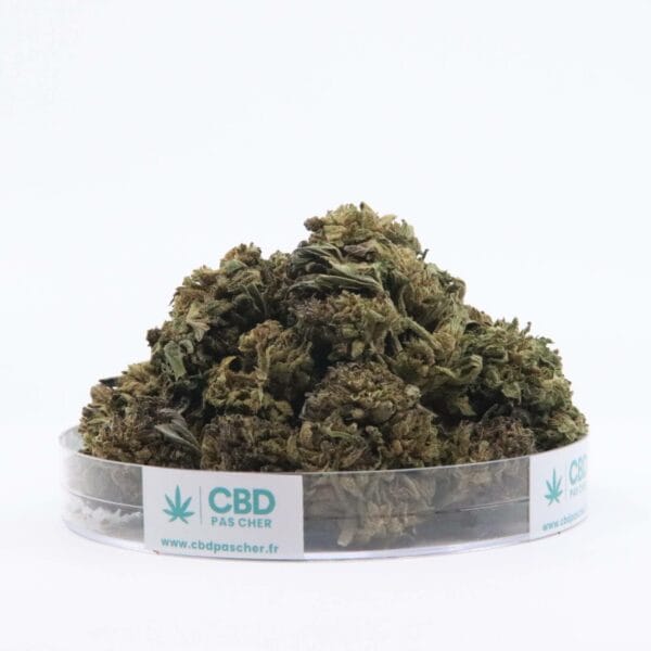 Sour Diesel – Image 17