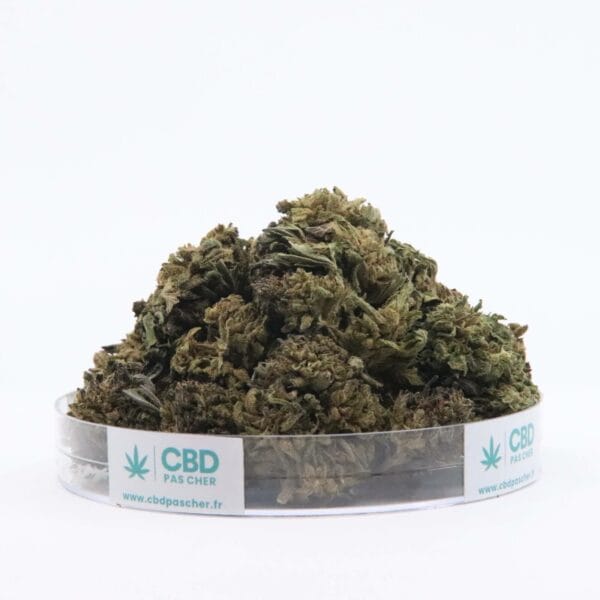 Sour Diesel – Image 18