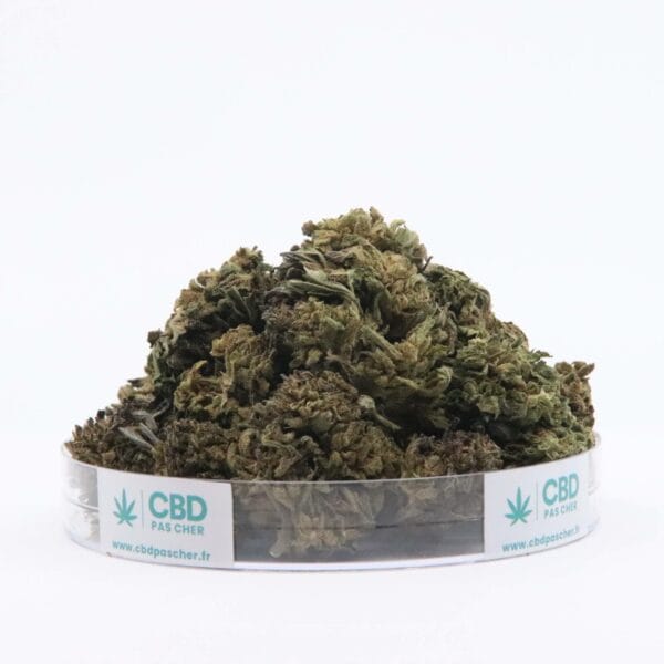 Sour Diesel – Image 19