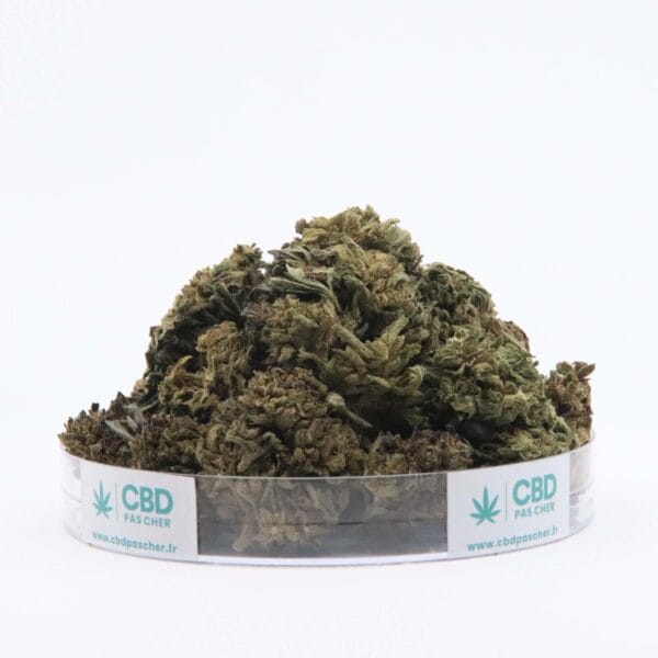Sour Diesel – Image 20