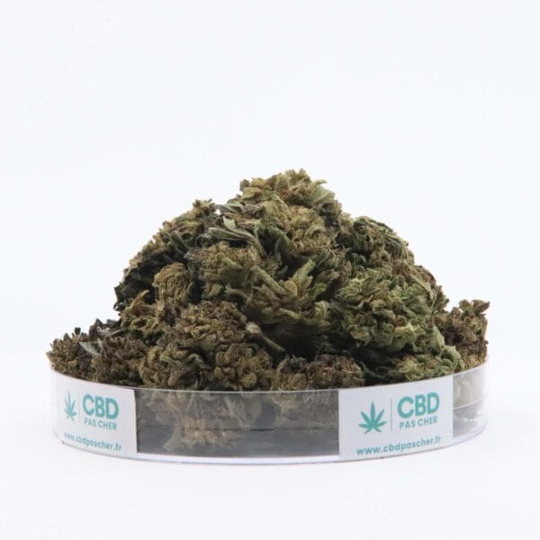 Sour Diesel – Image 21