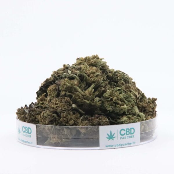 Sour Diesel – Image 22