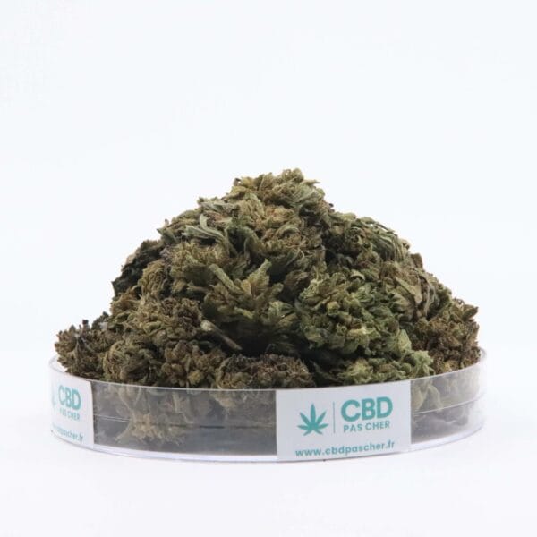 Sour Diesel – Image 23