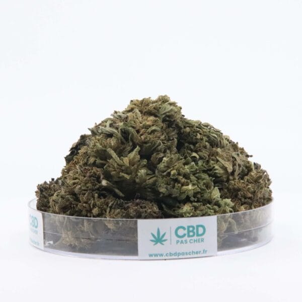 Sour Diesel – Image 24