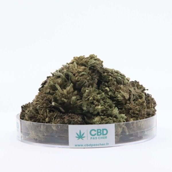 Sour Diesel – Image 25