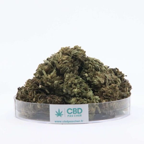 Sour Diesel – Image 26