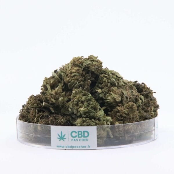 Sour Diesel – Image 27