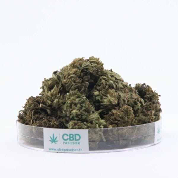 Sour Diesel – Image 28
