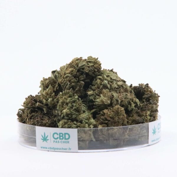 Sour Diesel – Image 29