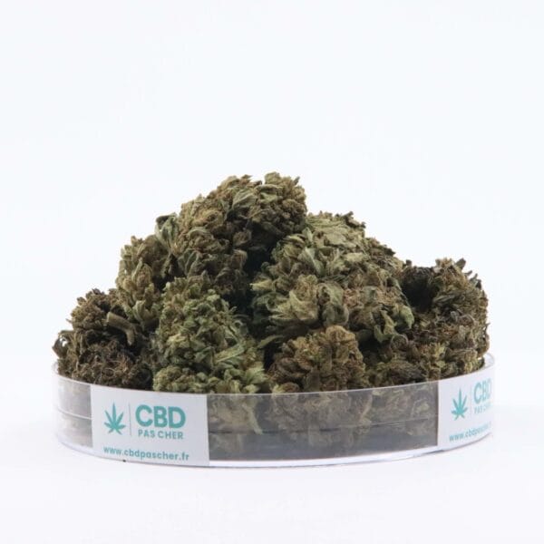 Sour Diesel – Image 30