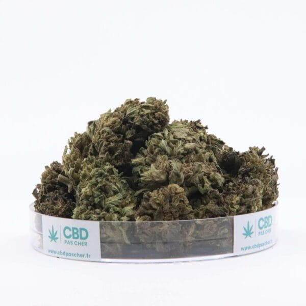 Sour Diesel – Image 31