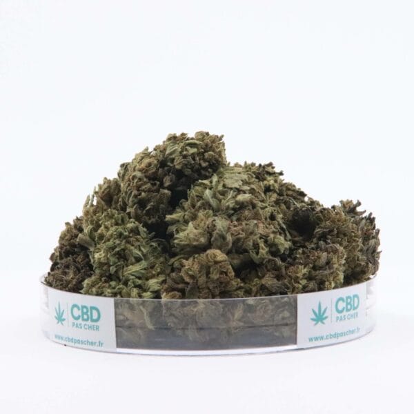 Sour Diesel – Image 32
