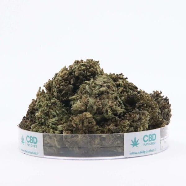 Sour Diesel – Image 33