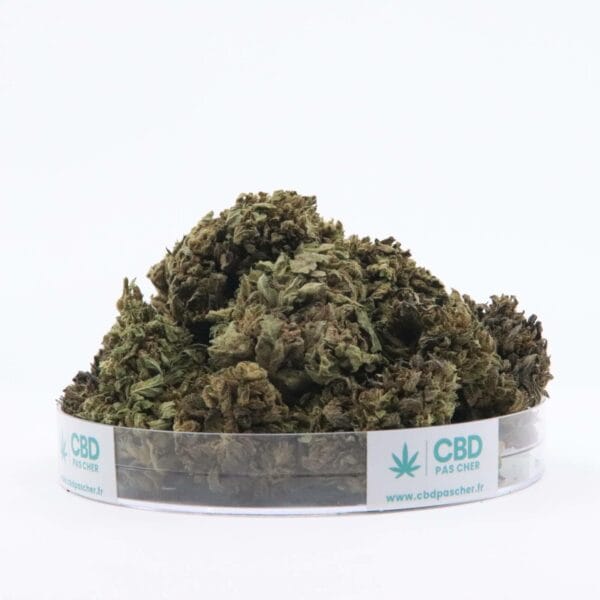 Sour Diesel – Image 34