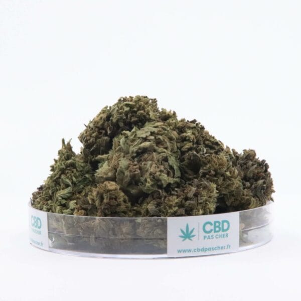 Sour Diesel – Image 35