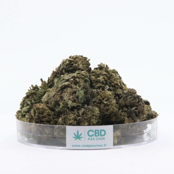 Sour Diesel – Image 38