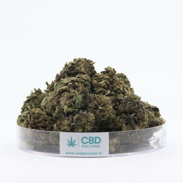 Sour Diesel – Image 39