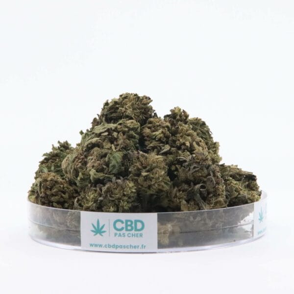 Sour Diesel – Image 40