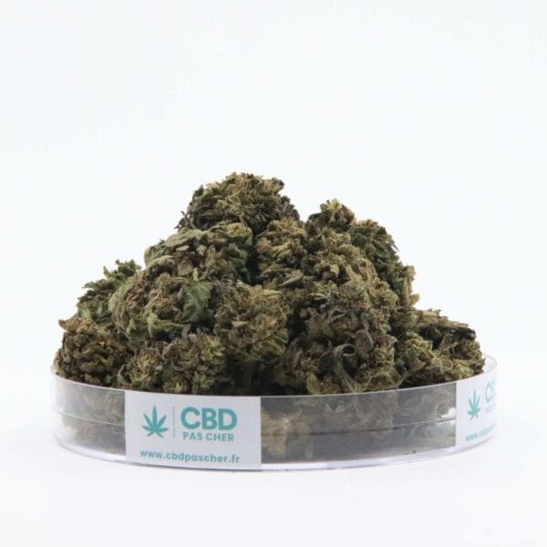 Sour Diesel – Image 41