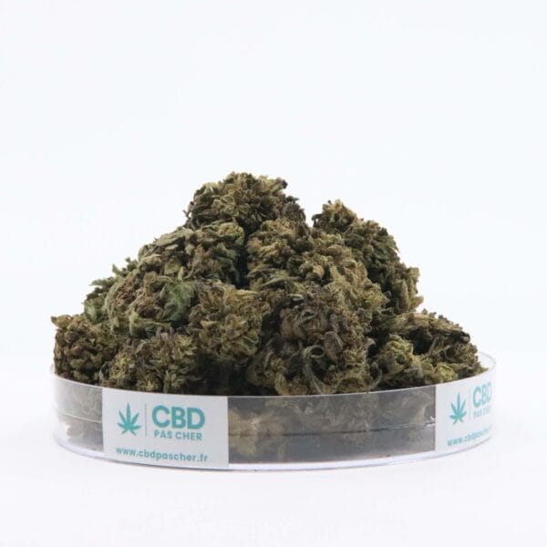 Sour Diesel – Image 42