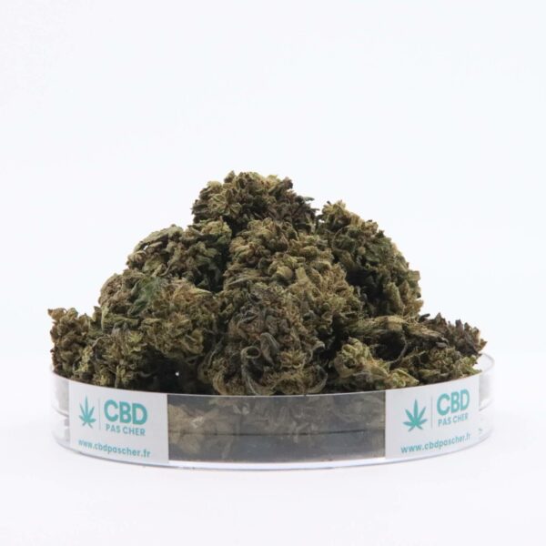 Sour Diesel – Image 44