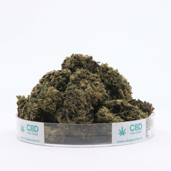 Sour Diesel – Image 45