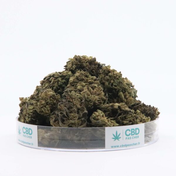 Sour Diesel – Image 46