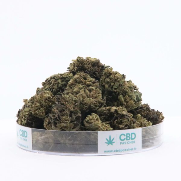 Sour Diesel – Image 47