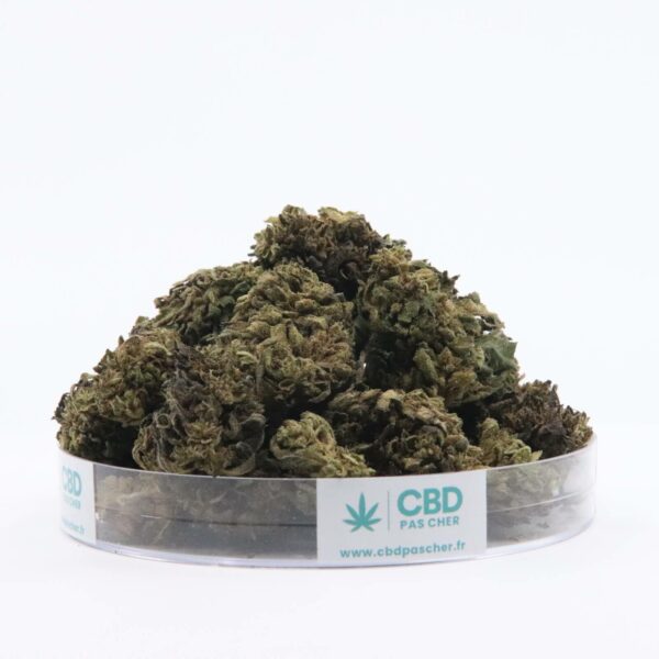 Sour Diesel – Image 48