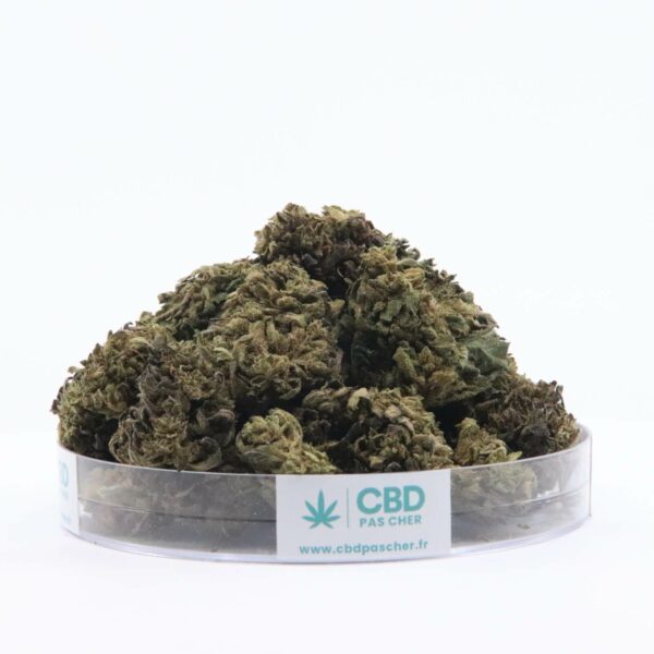 Sour Diesel – Image 49