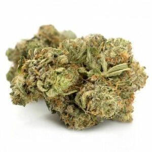 Fleur de CBD Sour Widow Outdoor