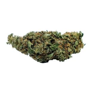 Super Skunk, CBD aux arômes puissants et musqués, offrant une relaxation intense avec des notes terreuses et épicées.