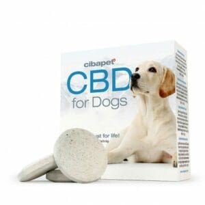 Pastille au CBD pour chiens de Cibapet Cibdol pas cher